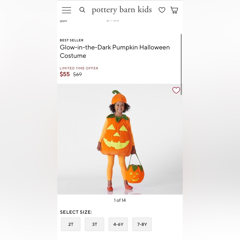 Pottery Barn Glow In The Dark Pumpkin Costume